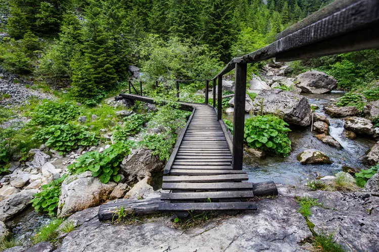 cheile zanoagei spre cascada 7 izvoare muntii bucegi