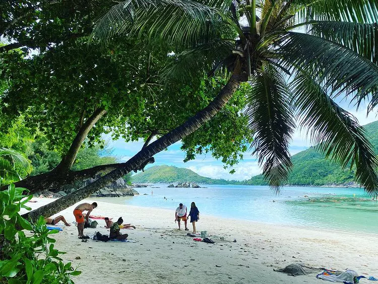 delia-dub-271317855_1188409371688638_5972451374253384251_n