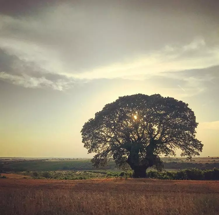 Au început filmările pentru „Aventură cu 4 stele” (Antena 1). Cine sunt primele vedete care au plecat în Grecia (10)