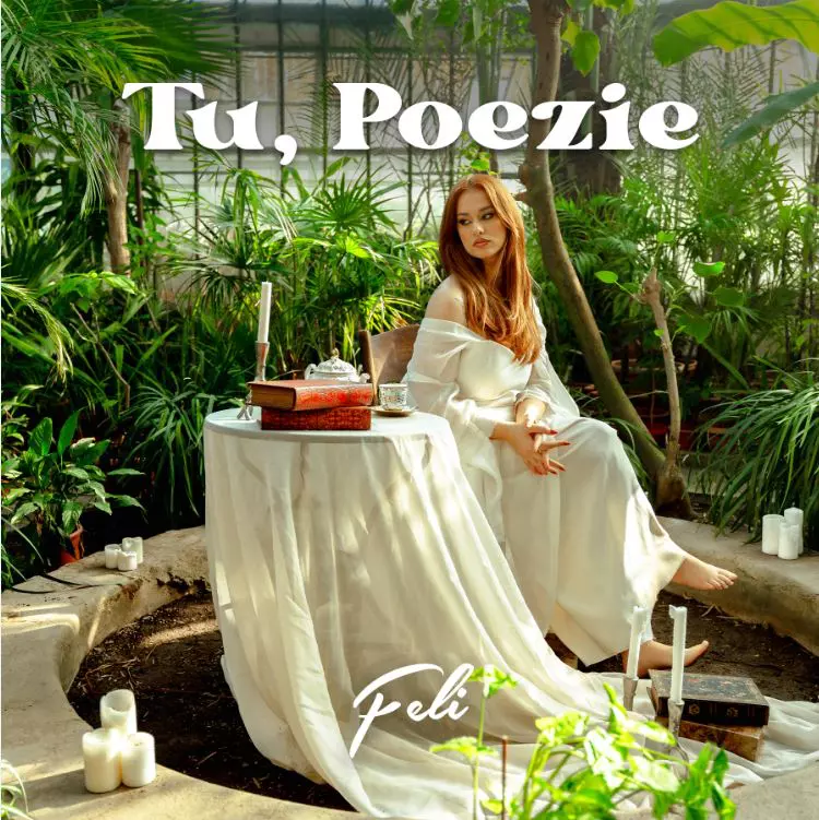 Artwork-Feli-Tu-Poezie