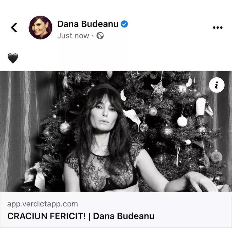 dana-budeanu-postare-instagram