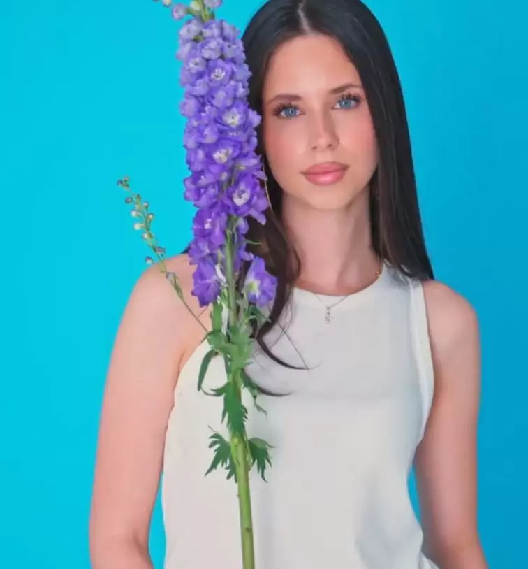 violeta