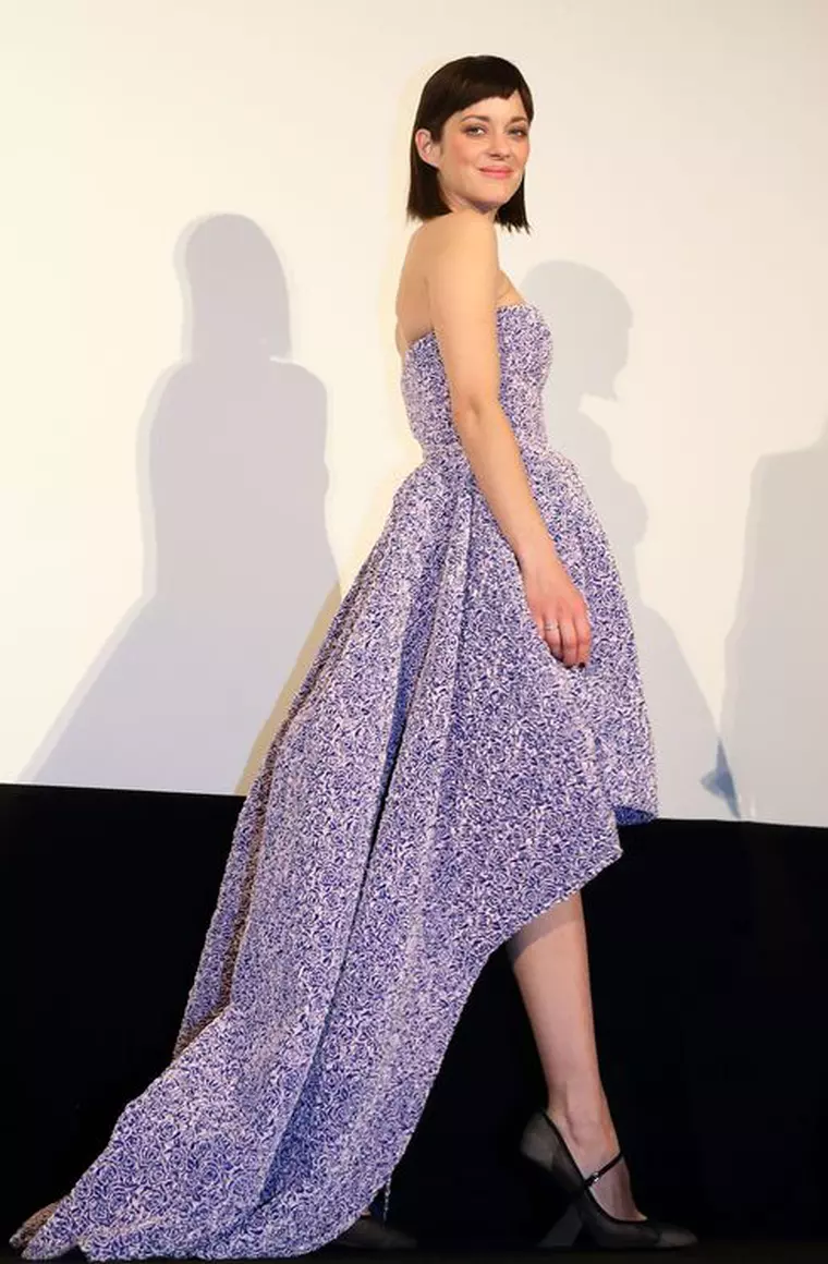 'Rust and Bone' Tokyo Photocall