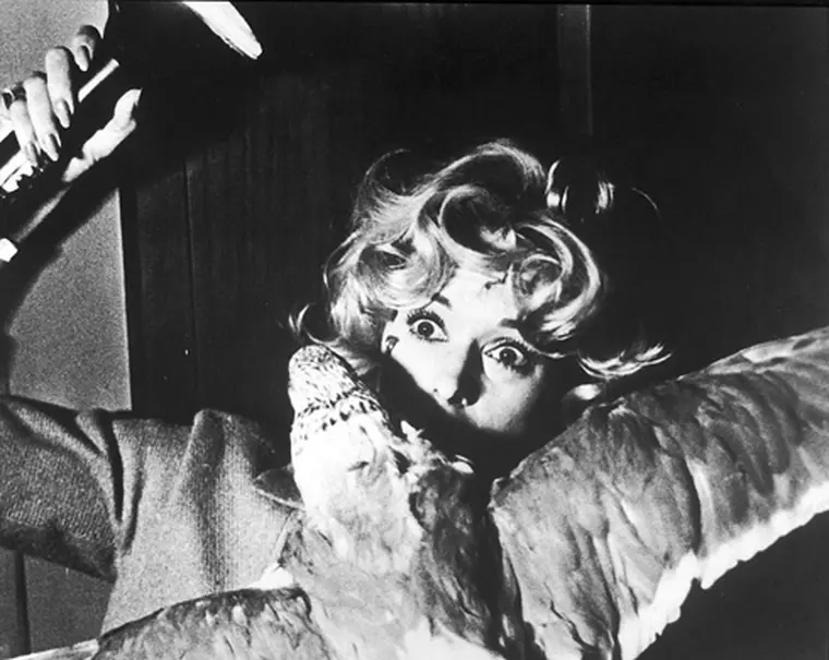 The Birds Moviestills