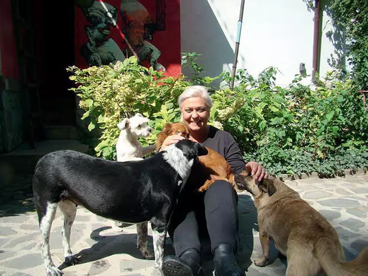 1239836_647986671898788_232260323_n