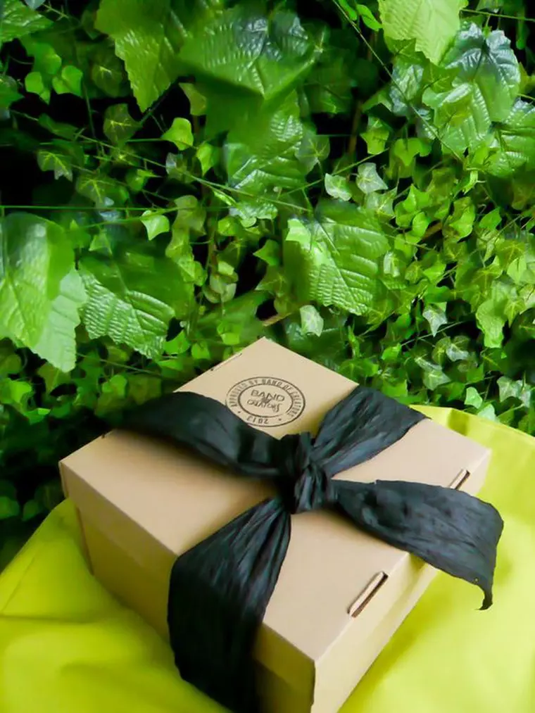 1471803_599008710165494_1833911315_n