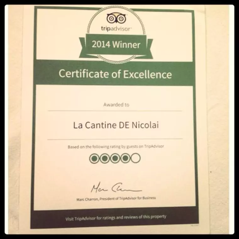 nicolai diploma trip advisor1