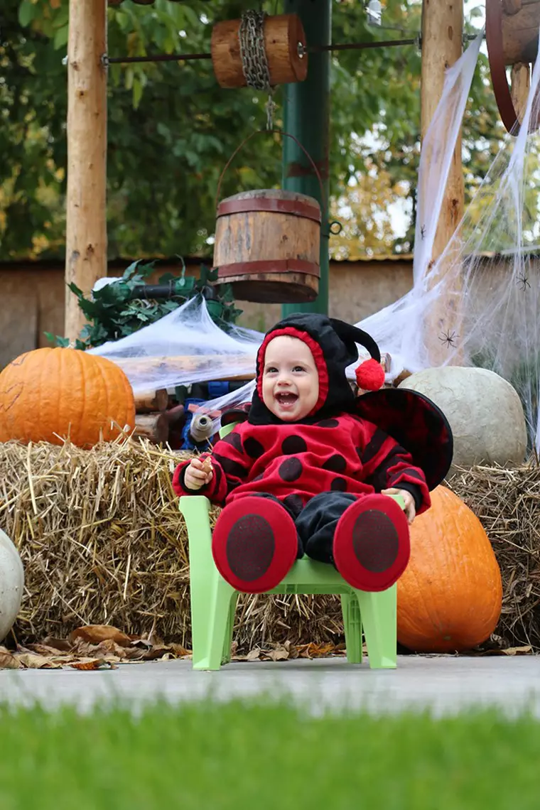 11229894_1054004577943176_5034623065644863158_n