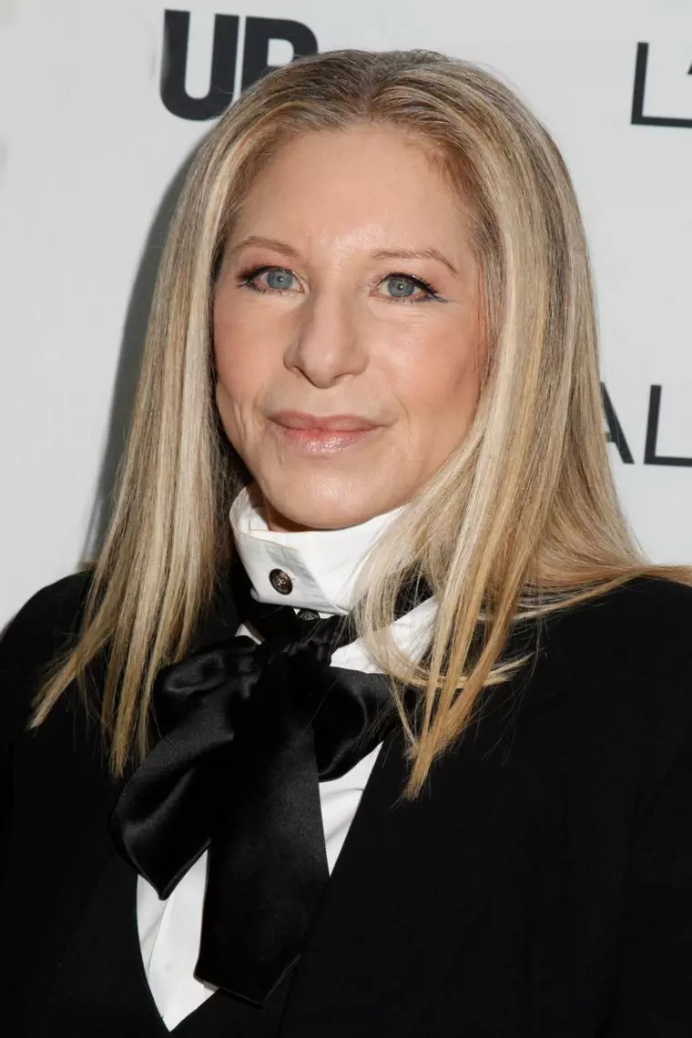 Mandatory Credit: Photo by Gregory Pace/BEImages (1820531au) Barbra Streisand Glamour Women of the Year Awards, New York, America - 11 Nov 2013