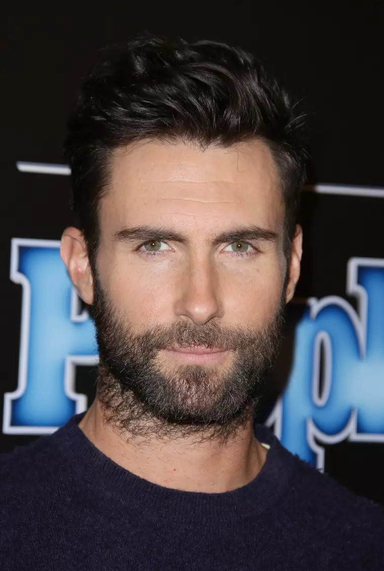 Mandatory Credit: Photo by Matt Baron/BEImages (2601099bz) Adam Levine People Magazine Awards, Los Angeles, America - 18 Dec 2014