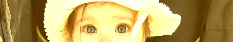 13418504_536819566502139_4043925331203233919_o