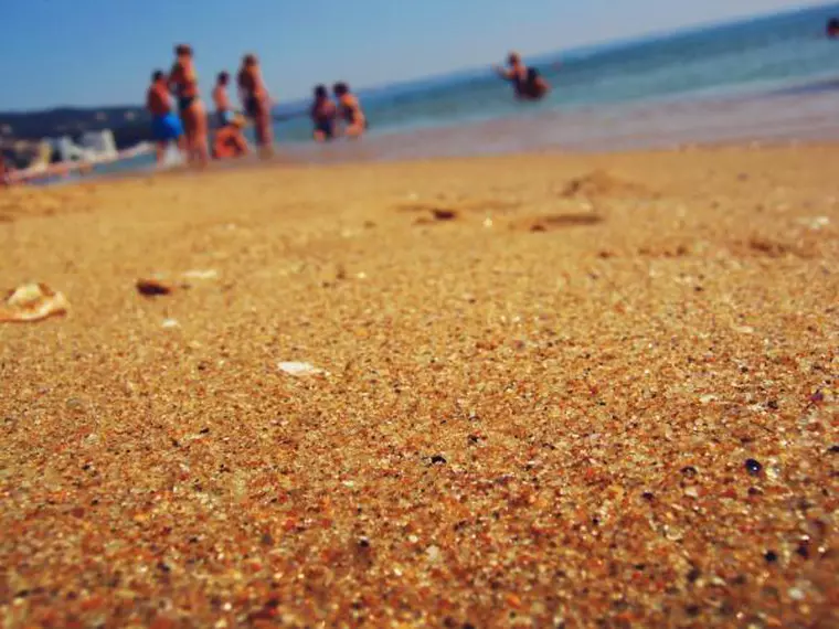 viva.Nisipurile de Aur