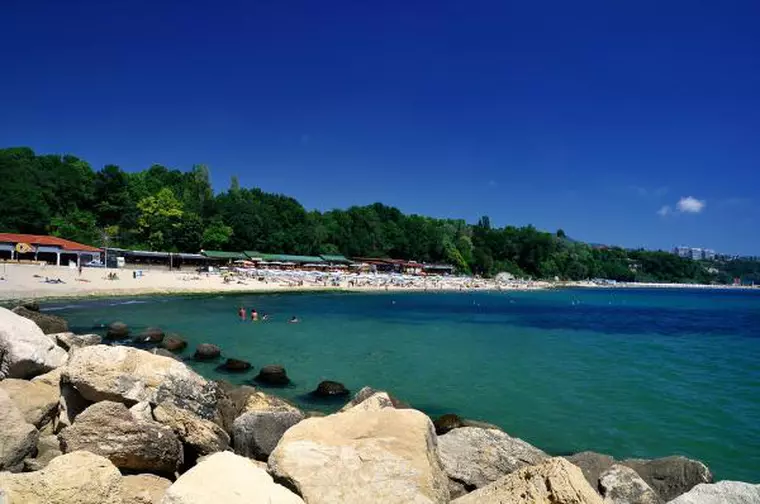 viva.Constantin si Elena1