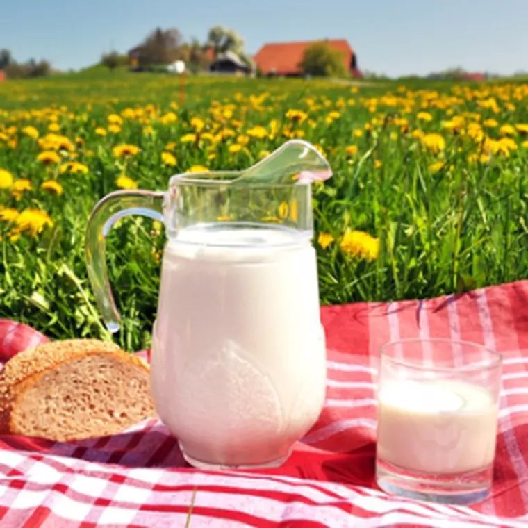 laptele si sanatatea