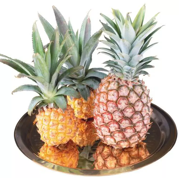 Ananasul - proprietăți și beneficii pentru sănătate. Cum se mănâncă ananasul