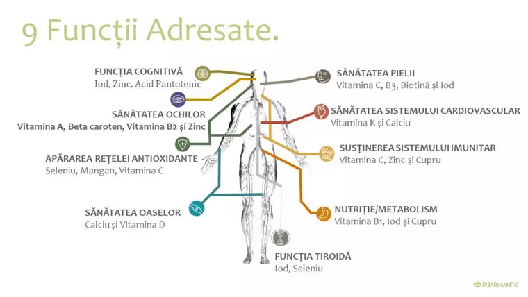 (P) Ajută-ți organismul să funcționeze mai bine cu LifePak®+
