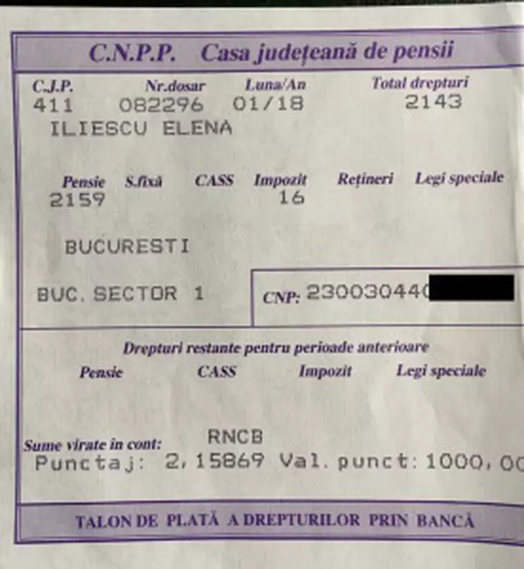 talon pensie nina iliescu