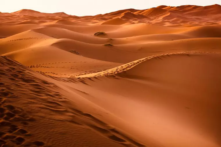 Circuit Maroc