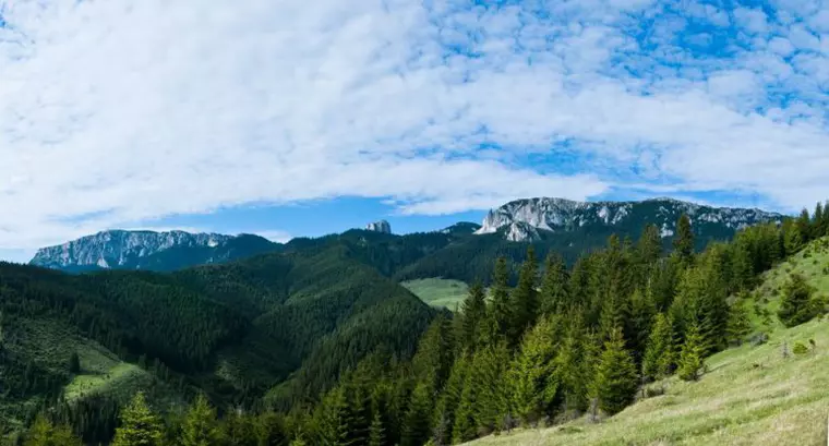 5 cele mai tari evenimente de running pentru amatori