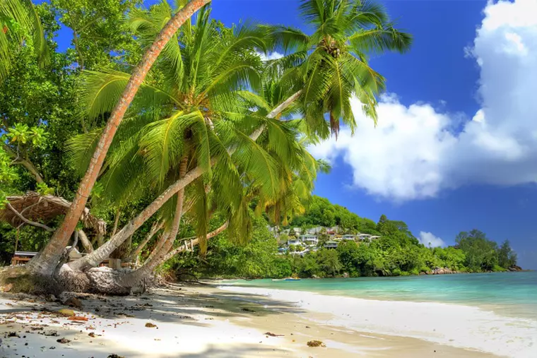 Seychelles, Insula Praslin