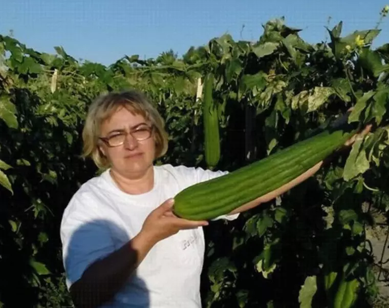 Ce idee de afaceri a avut o brăileancă! Mihaela Arion produce mii de bureți lufa