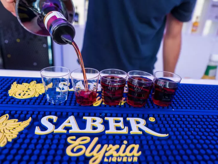 shoturi saber elyzia