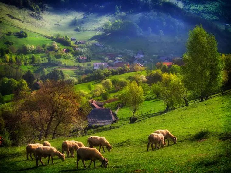 Zona Transilvania