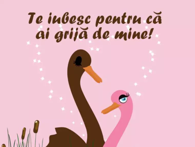 Mesaje de Sfântul Valentin 2019 cu imagini