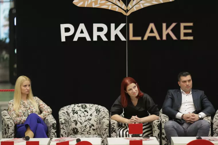 park lake, atelierele de idei unica