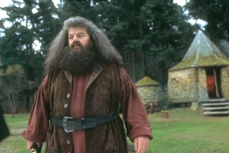 ROBBIE COLTRANE in rolul lui Rubeus Hagrid