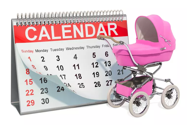 Calendar sarcină - cum calculezi săptămânile de sarcină