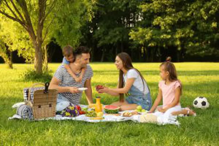 1 iunie Ziua Copilului-picnic in familie
