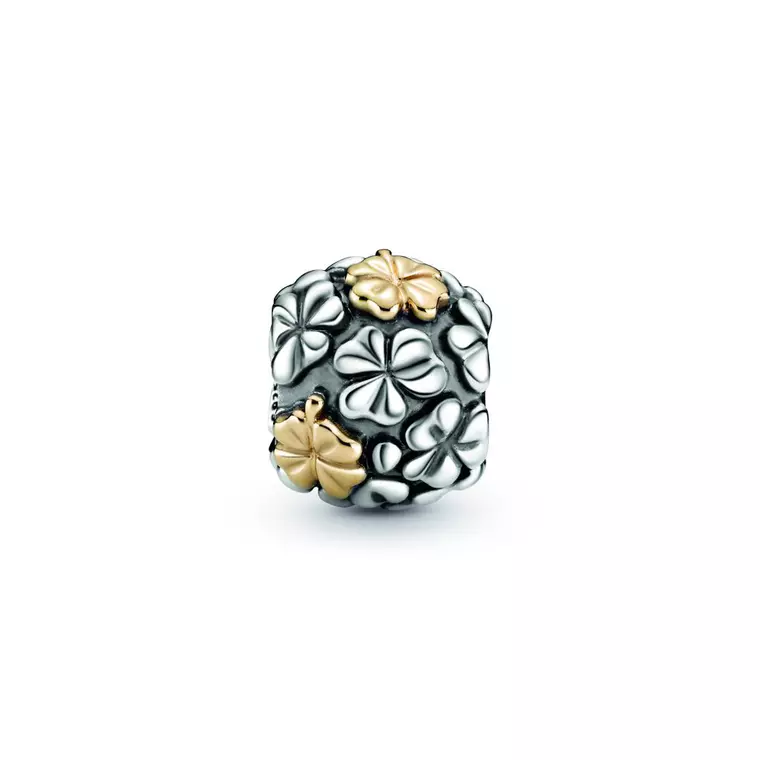 (P) Talismanul meu norocos