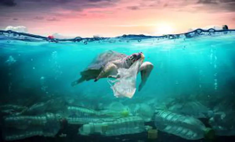 Ziua Mondiala a Mediului 2020 - poluarea oceanelor