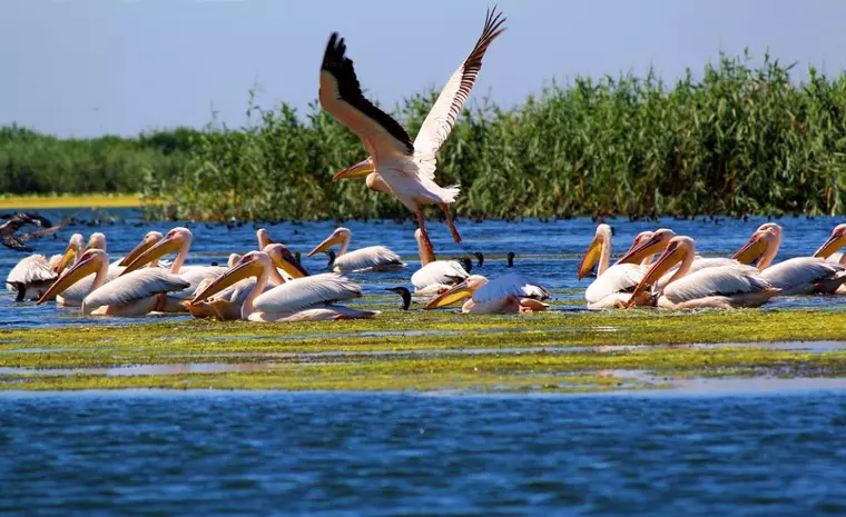Locuri de vizitat în Romania. 50 de obiective turistice pentru un an întreg!