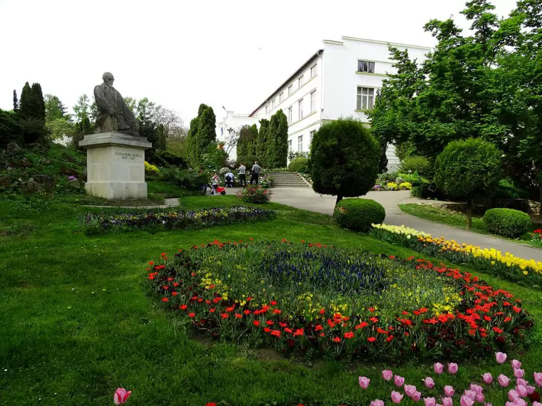 Top 10 locuri de vizitat în Cluj Napoca. Din Piața Unirii în Grădina Botanică
