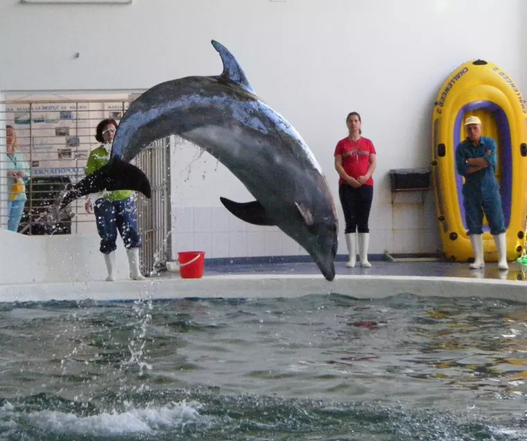 Top 10 locuri de vizitat în Constanța. De la Cazino la Muzeul Marinei