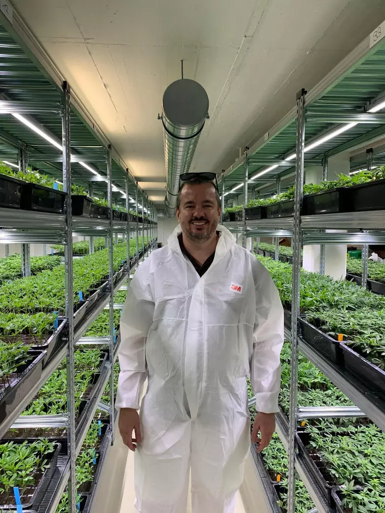 (P) Silueta perfectă și pielea frumoasă se obțin cu ulei CBD