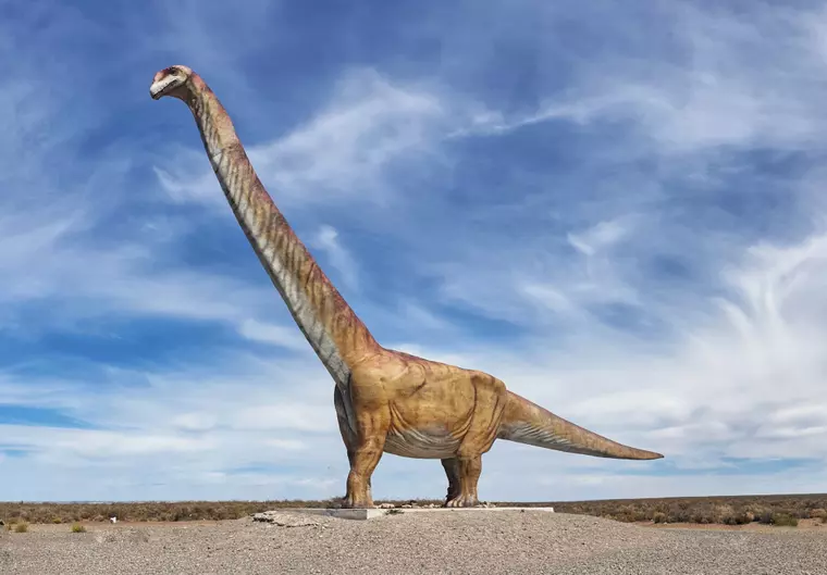 (P) Bizara poveste a cercurilor polare, și efectul lor asupra viitorului planetei noastre