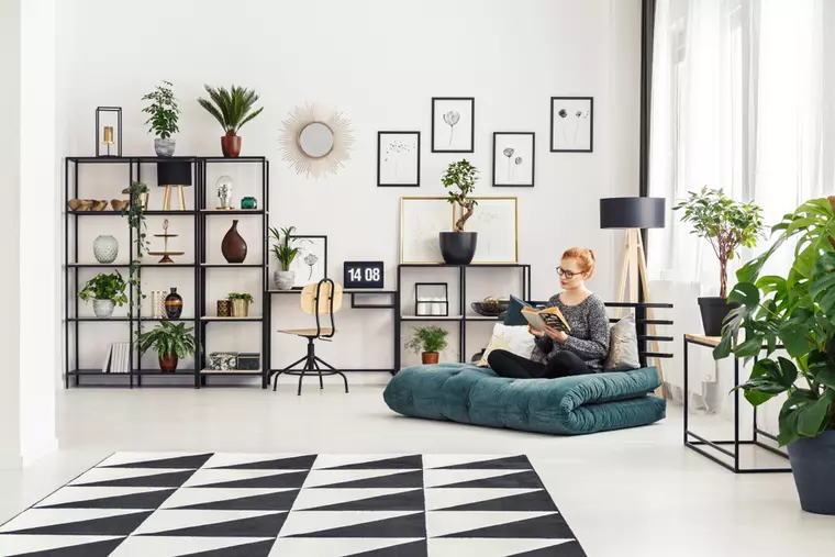 Plante de apartament. Ce flori se potrivesc în fiecare cameră și la ce să fii atentă când le cumperi