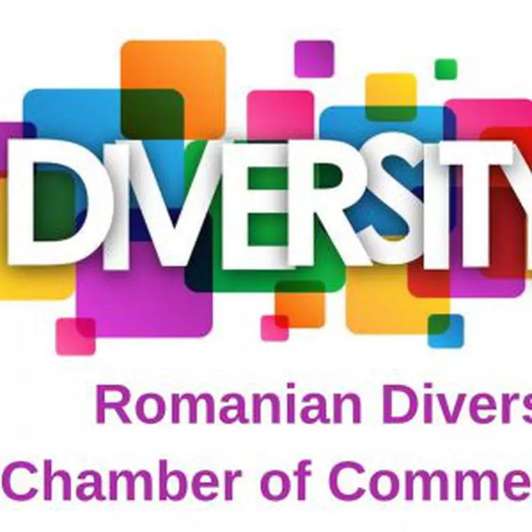 Camera de Comerț pentru Diversitate, din România, lansează primul său grup operativ privind egalitatea de gen (P)