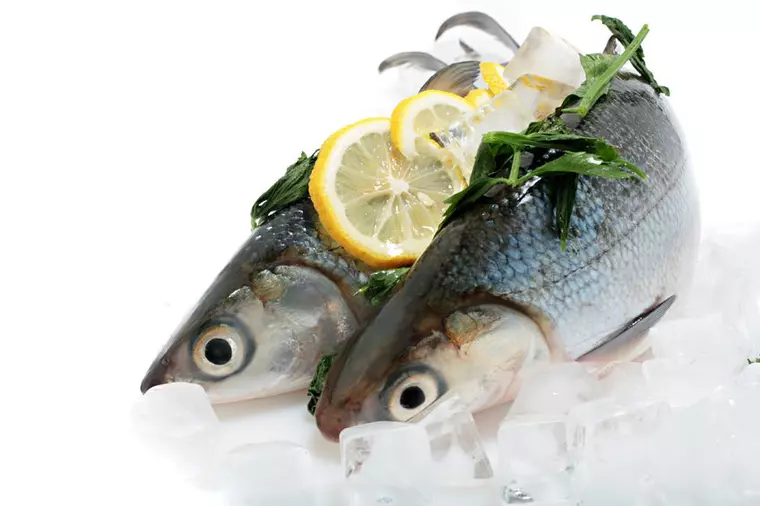 Specii de pești pentru consum. Care pește este mai sănătos!