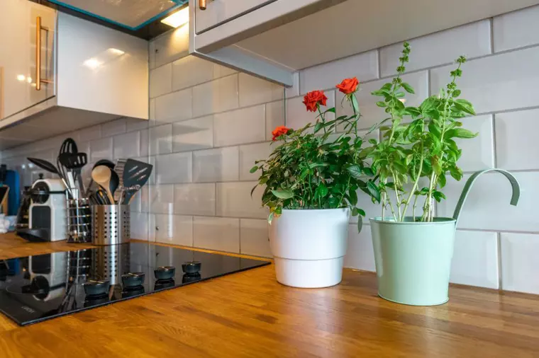 Cum să închiriezi o garsonieră sau un apartament la un preț corect