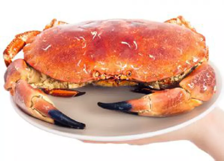 Fructele de mare - care sunt delicatesele din mare și cum se consumă