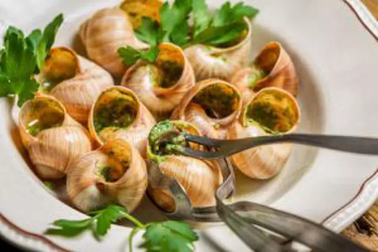 Fructele de mare - care sunt delicatesele din mare și cum se consumă
