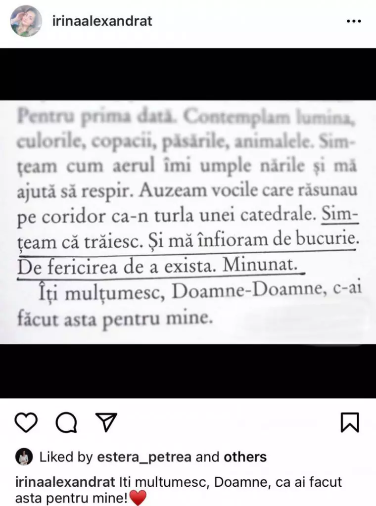 iubita dragnea mesaj instagram