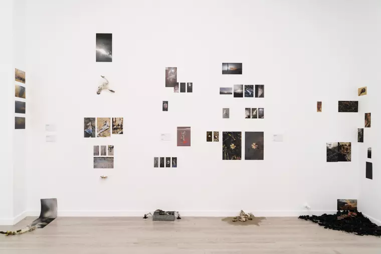 La marginea lumii: o nouă expoziție internațională organizată de Fundația Art Encounters