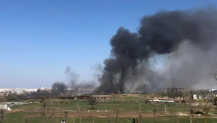 Incendiu de vegetație în Delta Văcărești