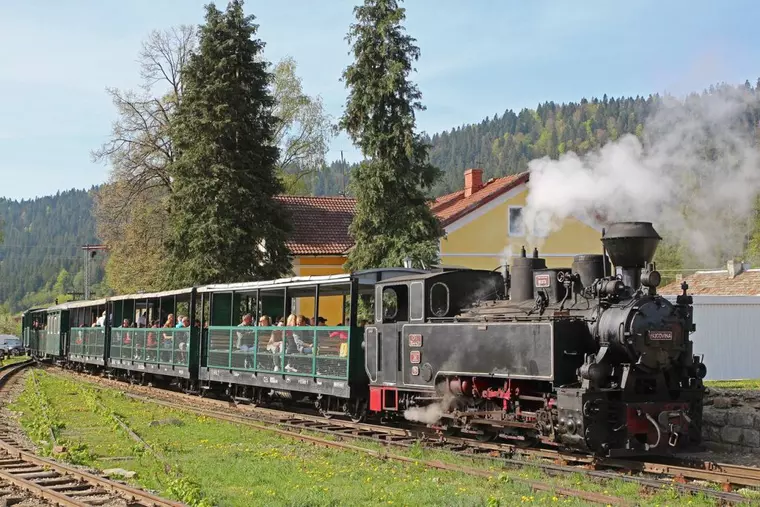 Trasee cu mocănița în România. Din Transilvania în Maramureș!