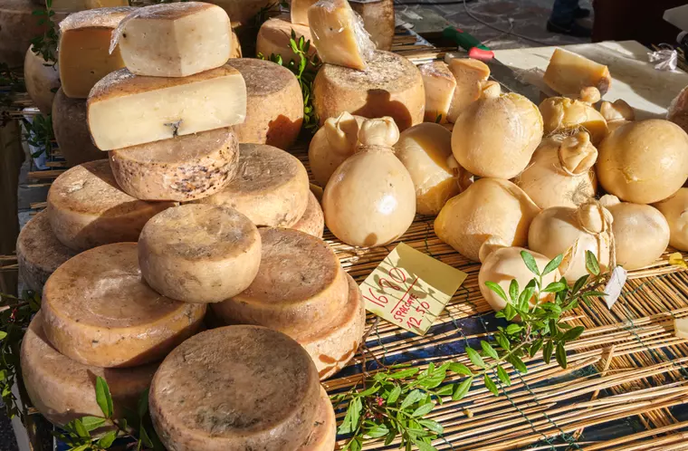 cele-mai-puturoase-tipuri-de-branza